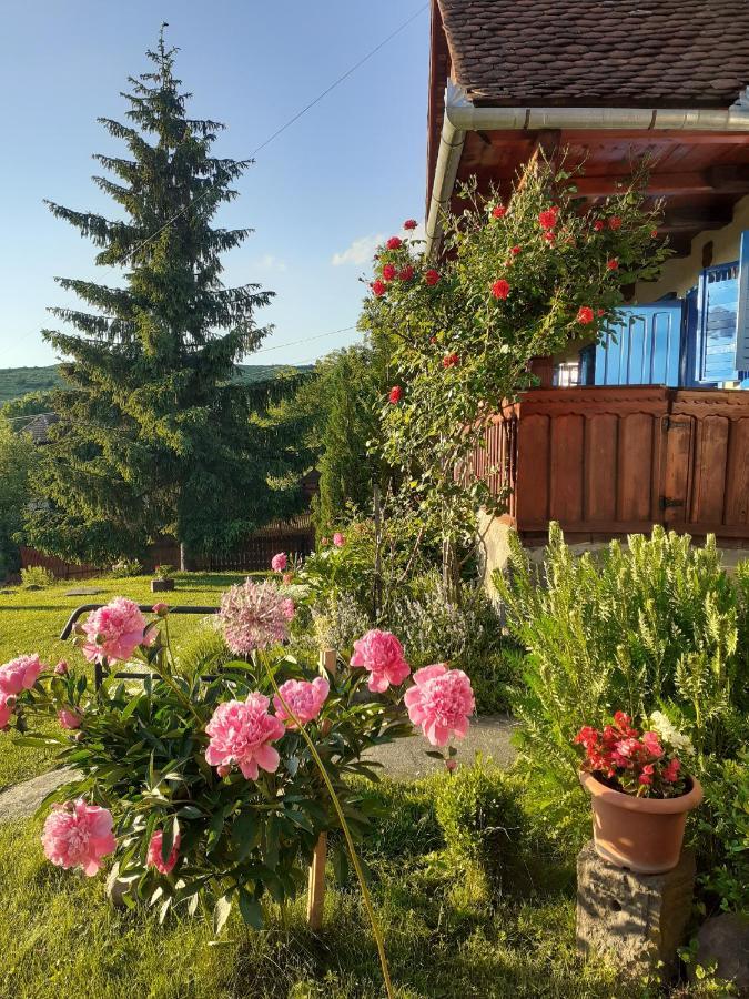 Siklod. Csaba Vendeghaz Hotel Bagian luar foto