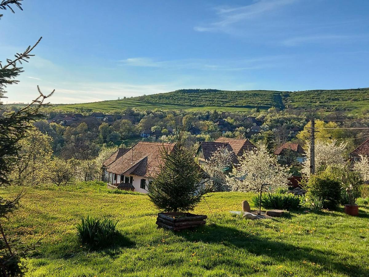 Siklod. Csaba Vendeghaz Hotel Bagian luar foto